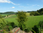 Ausblick auf Wiese und Wald hinter dem Haus