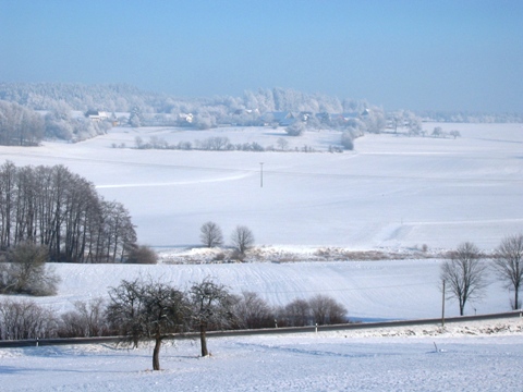 Aussicht auf die Wiese hinter dem Haus im Winter